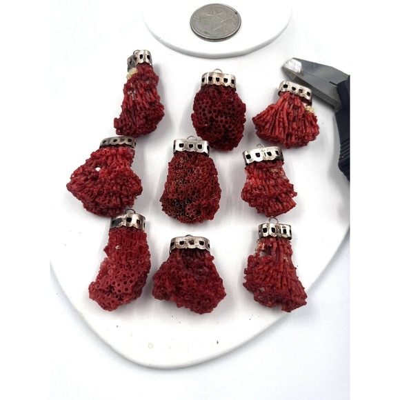 COPY - Natural Red Pipe Coral Pendant 925 Starling Silver Cape Buyer Will Get 1… - Picture 9 of 9